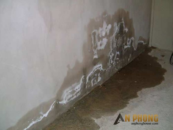 Chống thấm thủ đức