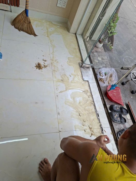 Dịch vụ tháo thảm, tẩy keo dán thảm